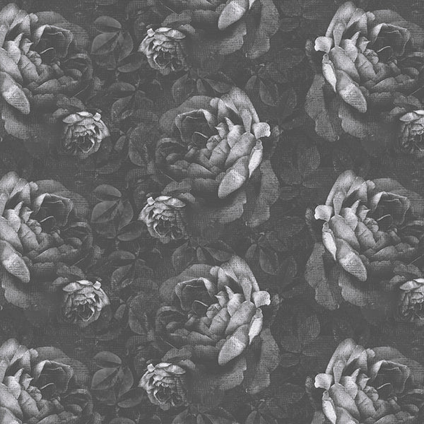 Kews Dramatic Roses Wallpaper (grey-mist) by ATADesigns
