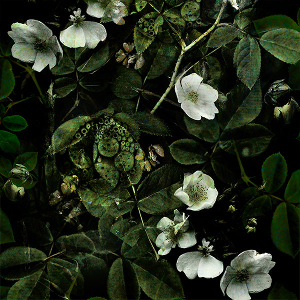 Kews Leafy Florals Wallpaper (green) by ATADesigns