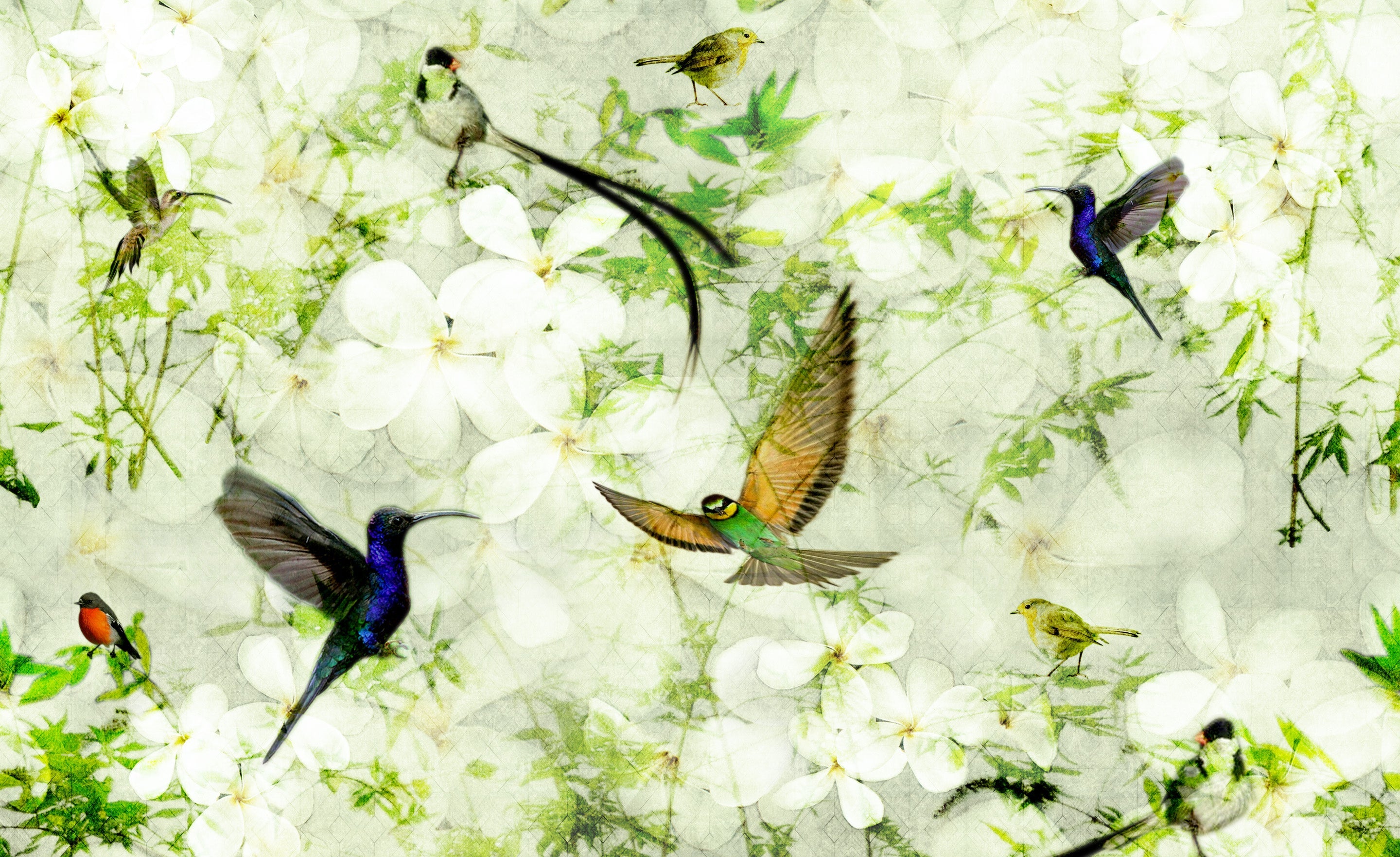Birds Wallpaper design on flowers background.  A mix of fresh greens and soft white colours.  Design by ATADesigns. Featuring the robin, finch and other birds on leaves and floral background.