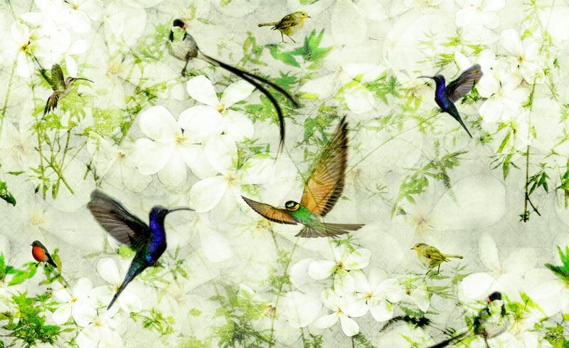Birds Wallpaper design on flowers background.  A mix of fresh greens and soft white colours.  Design by ATADesigns. Featuring the robin, finch and other birds on leaves and floral background.