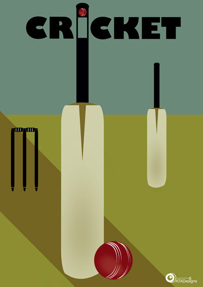 Cricket Sport Art Print