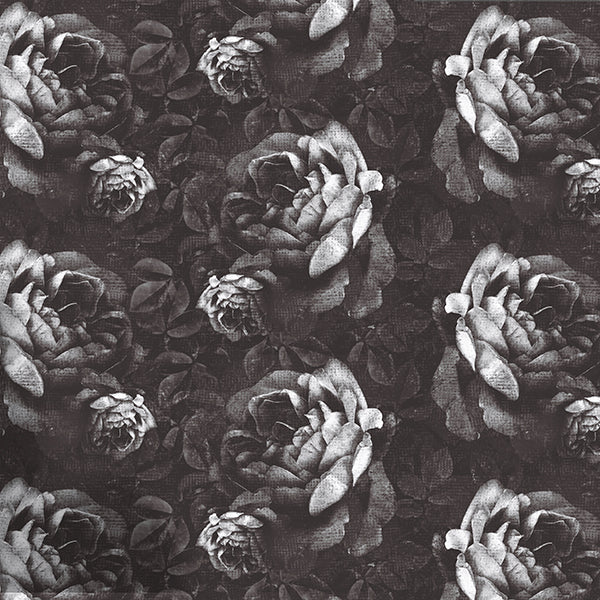 Kews Dramatic Roses Wallpaper (charcoal-grey) by ATADesigns