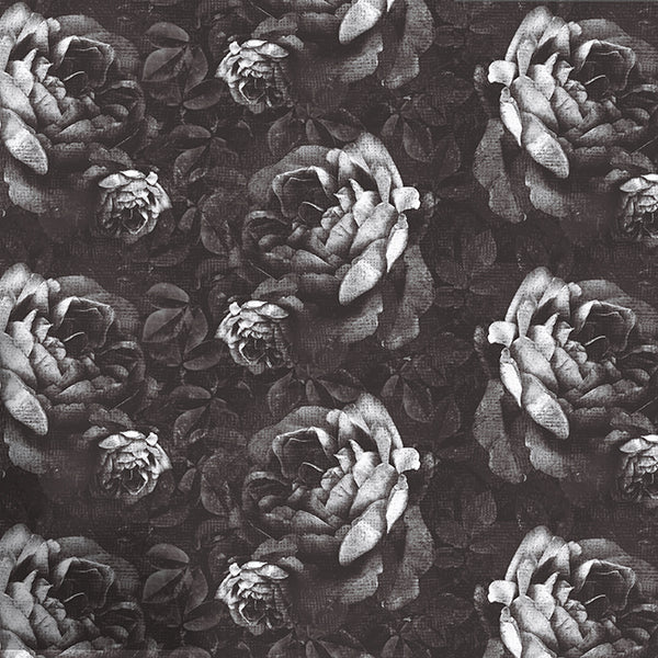Kews Dramatic Roses Wallpaper (charcoal-grey) by ATADesigns