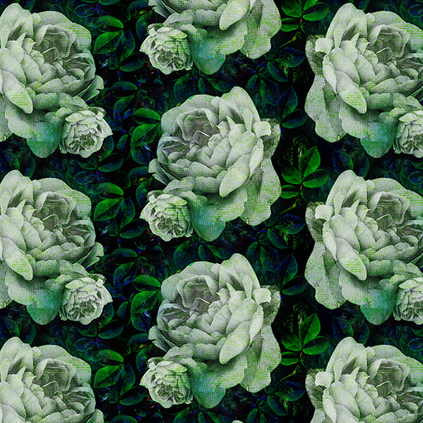 Kews Dramatic Roses Wallpaper (deep-green) by ATADesigns