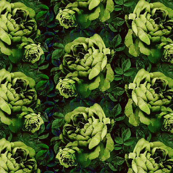Kews Dramatic Roses Wallpaper