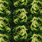 Kews Dramatic Roses Wallpaper