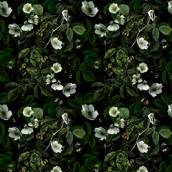 Kews Leafy Florals Wallpaper