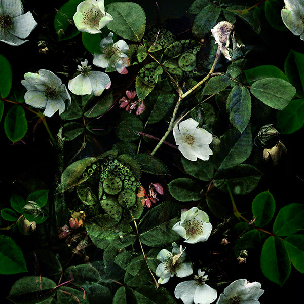 Kews Leafy Florals Wallpaper