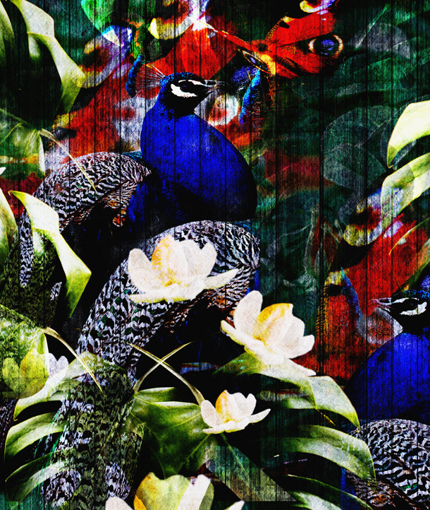 Peacocks Glam Mural by ATADesigns