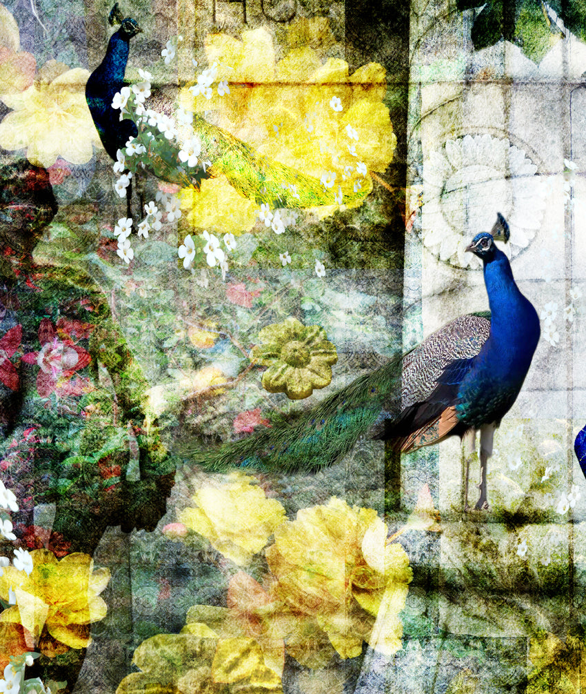 Three Peacocks Mural